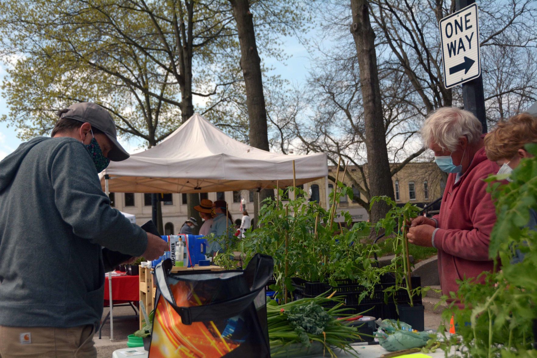 Baraboo Farmer's Market adjusts for safety during COVID-19 pandemic